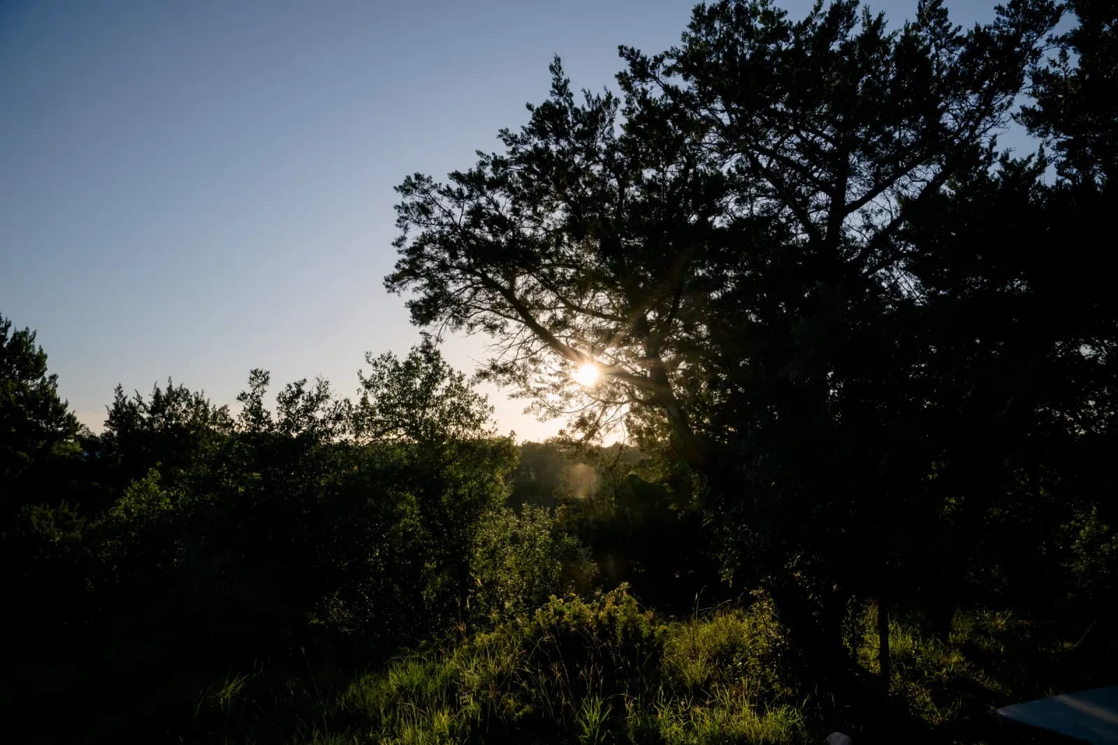 Sunset through the oaks at Wayside Wimberley