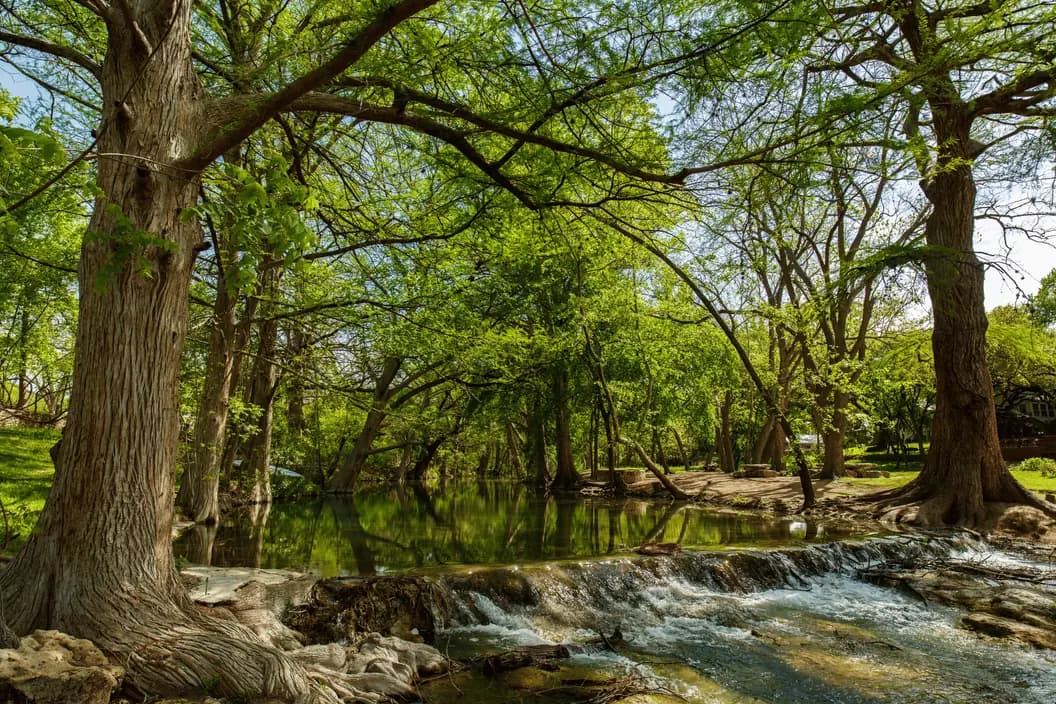 Blue Hole Regional Park swimming area in Wimberley Texas