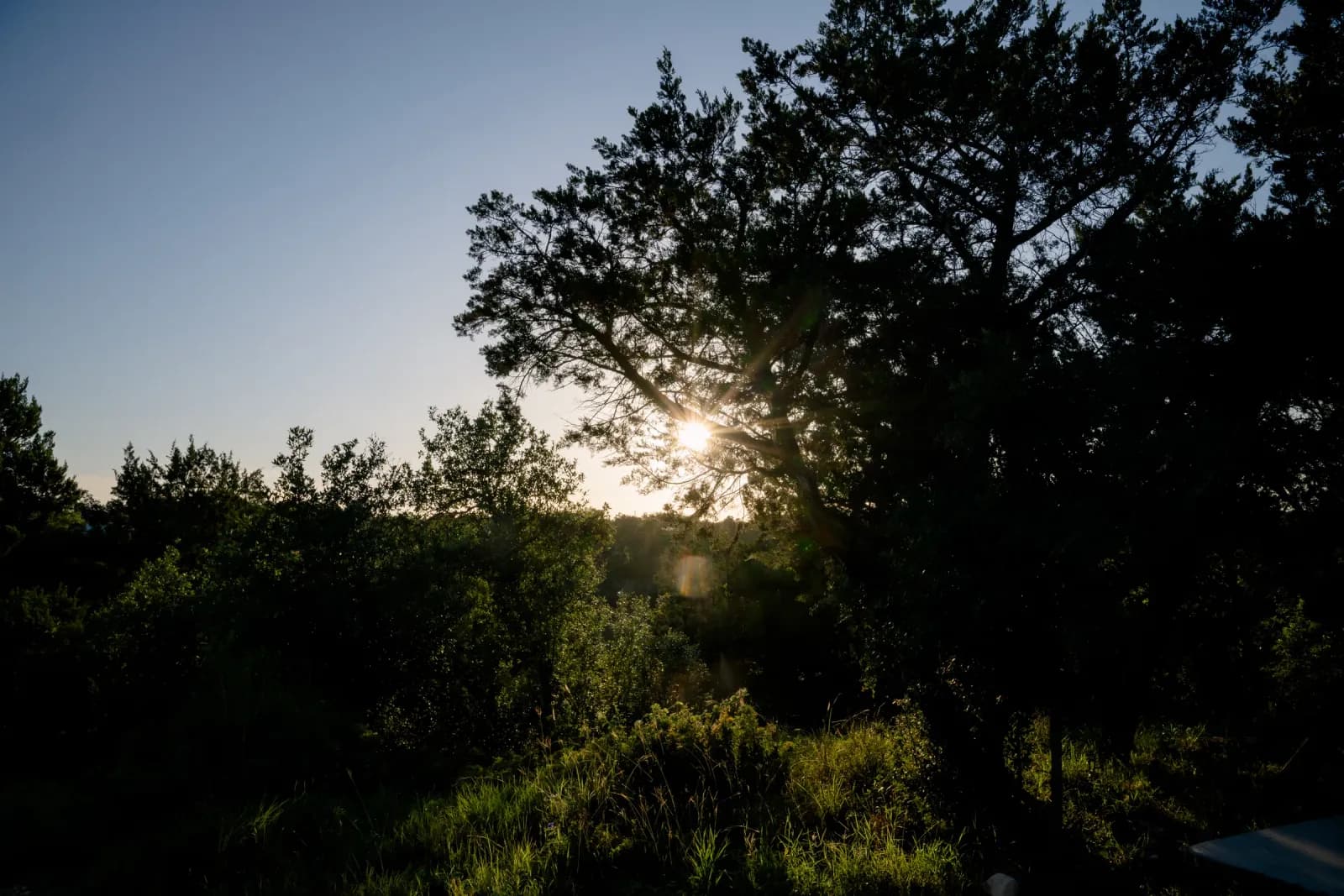 Sunset through the oaks on the canyon edge at Wayside Wimberley