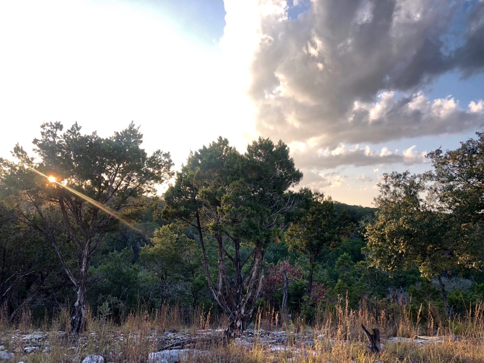 Sunrise over the Blanco River canyon at Wayside Wimberley